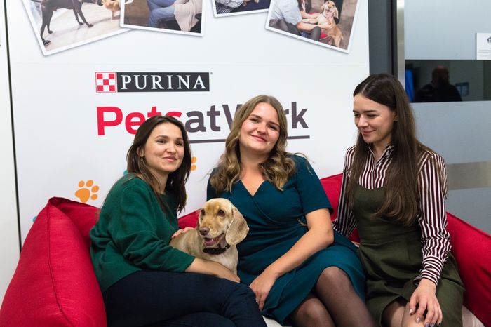 Pet‑friendly офис Purina