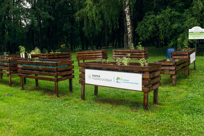 Огород в городском парке культуры и отдыха Солнечногорска