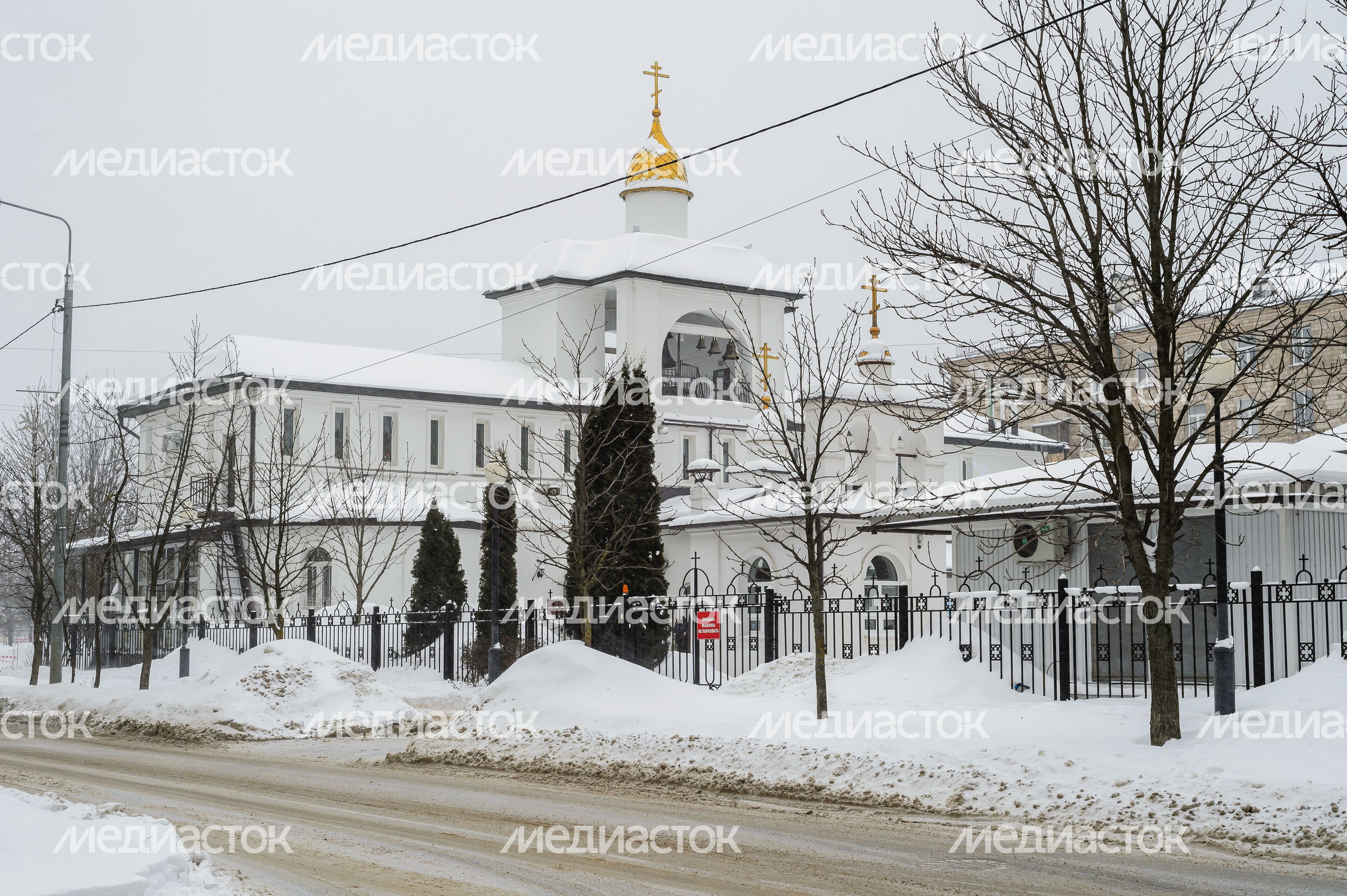 Храм Александра Невского в Балашихе