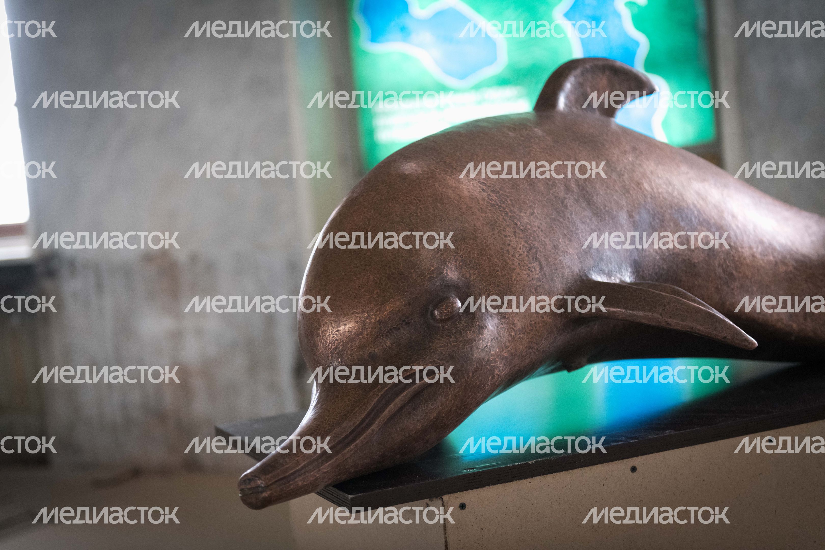 Реставрация Северного речного вокзала