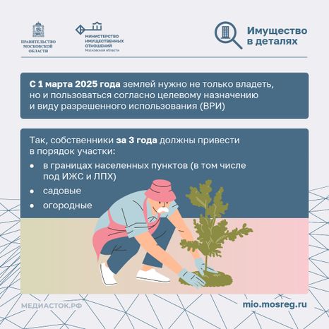 Освоение участка за 3 года квадрат 02