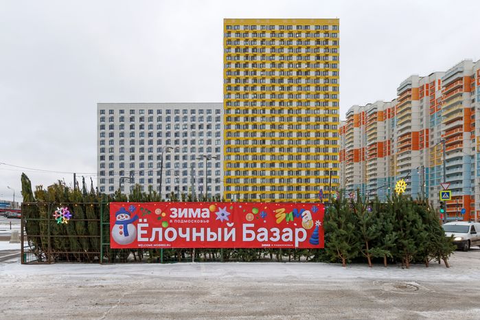 Елочный базар на улице Мира в Мытищах