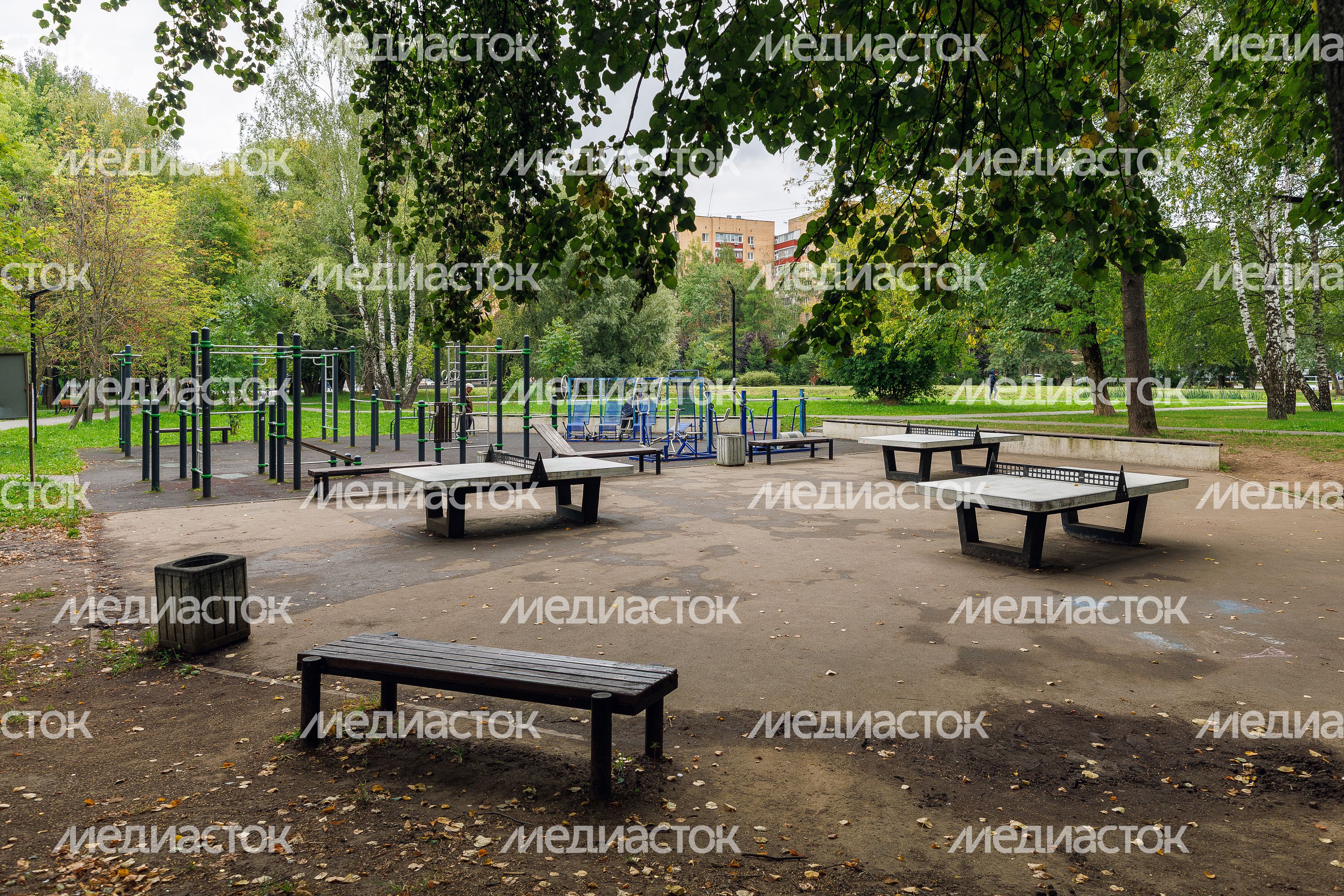 Центральный парк культуры и отдыха Долгопрудного летом (Городской парк) Центральный парк культуры и отдыха Долгопрудного летом (Городской парк)