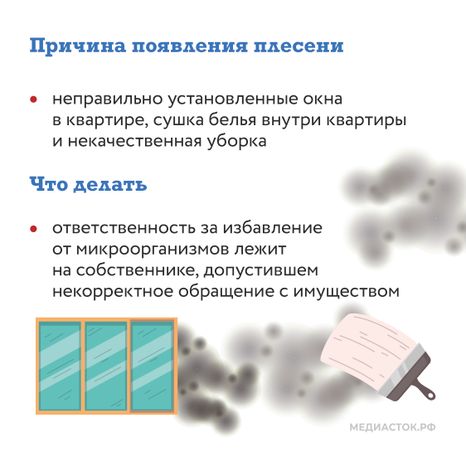 Плесень квадрат 04