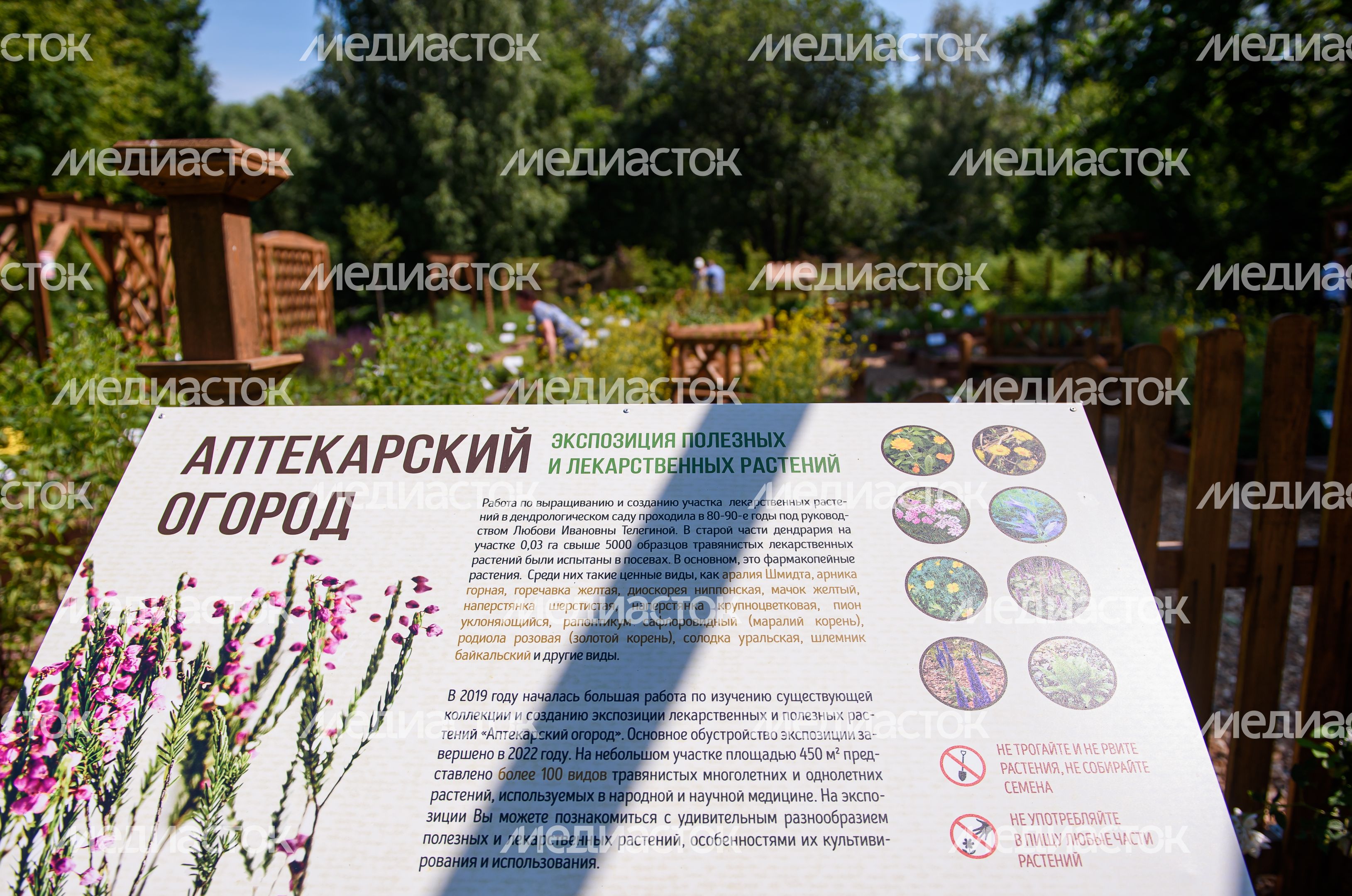 Переславский дендрологический сад имени Сергея Фёдоровича Харитонова