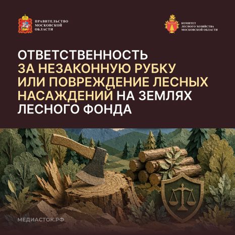 Незаконная рубка квадрат 01