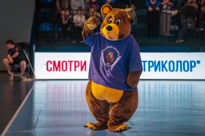 Четвертьфинальный матч мужского гандбольного Кубка России «Чеховские Медведи» – «ВиктОр»