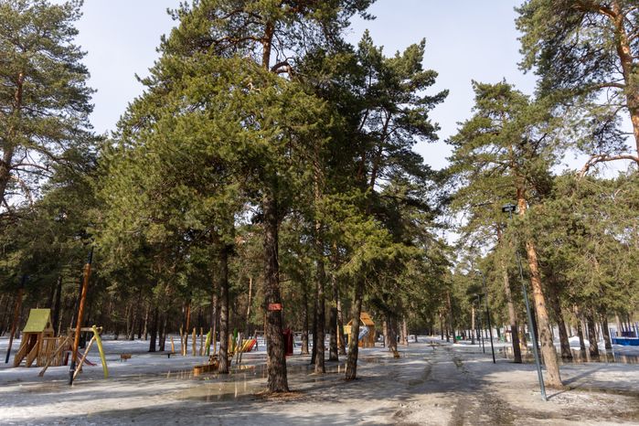 Кузьминский лесопарк