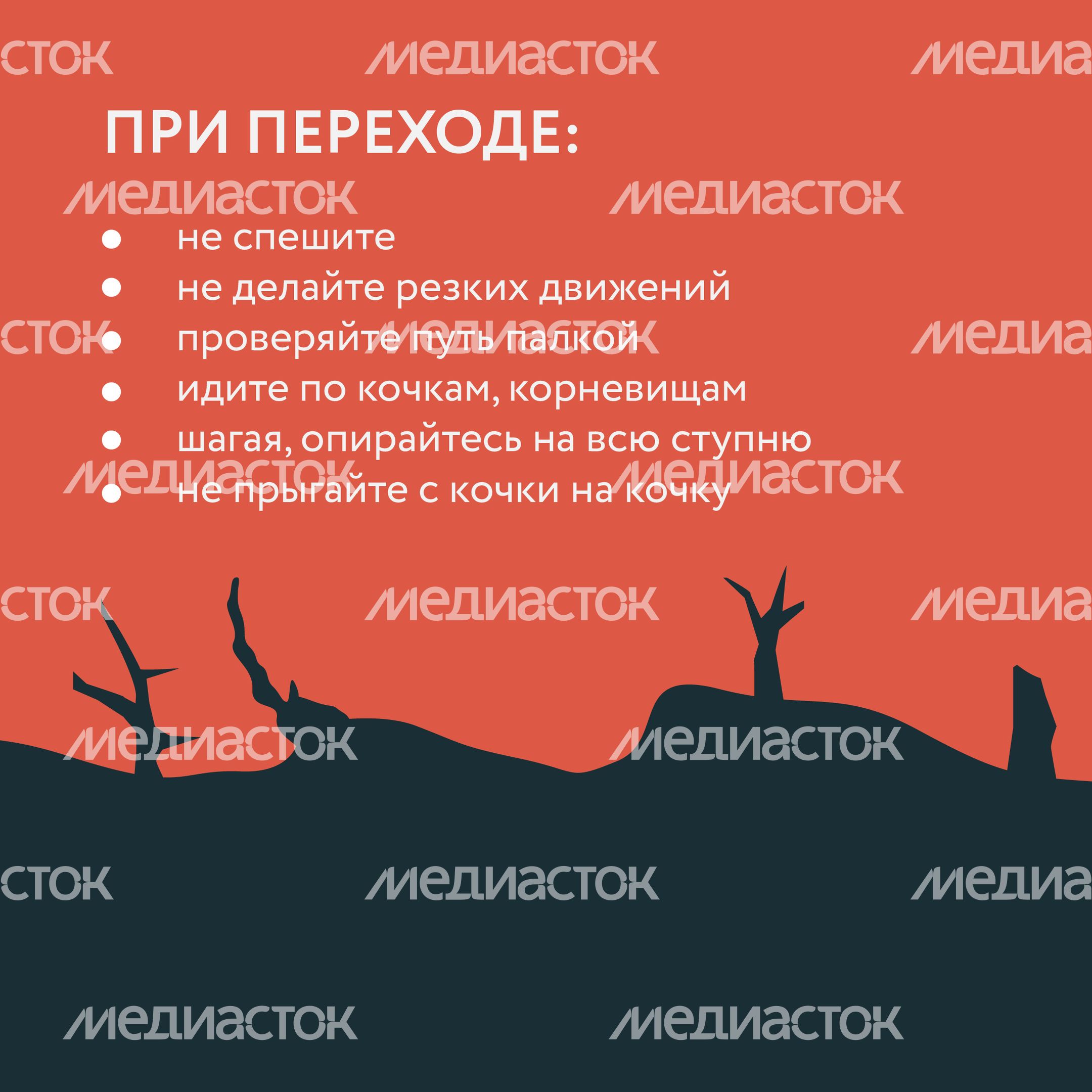 Болото-Квадрат-07.jpg