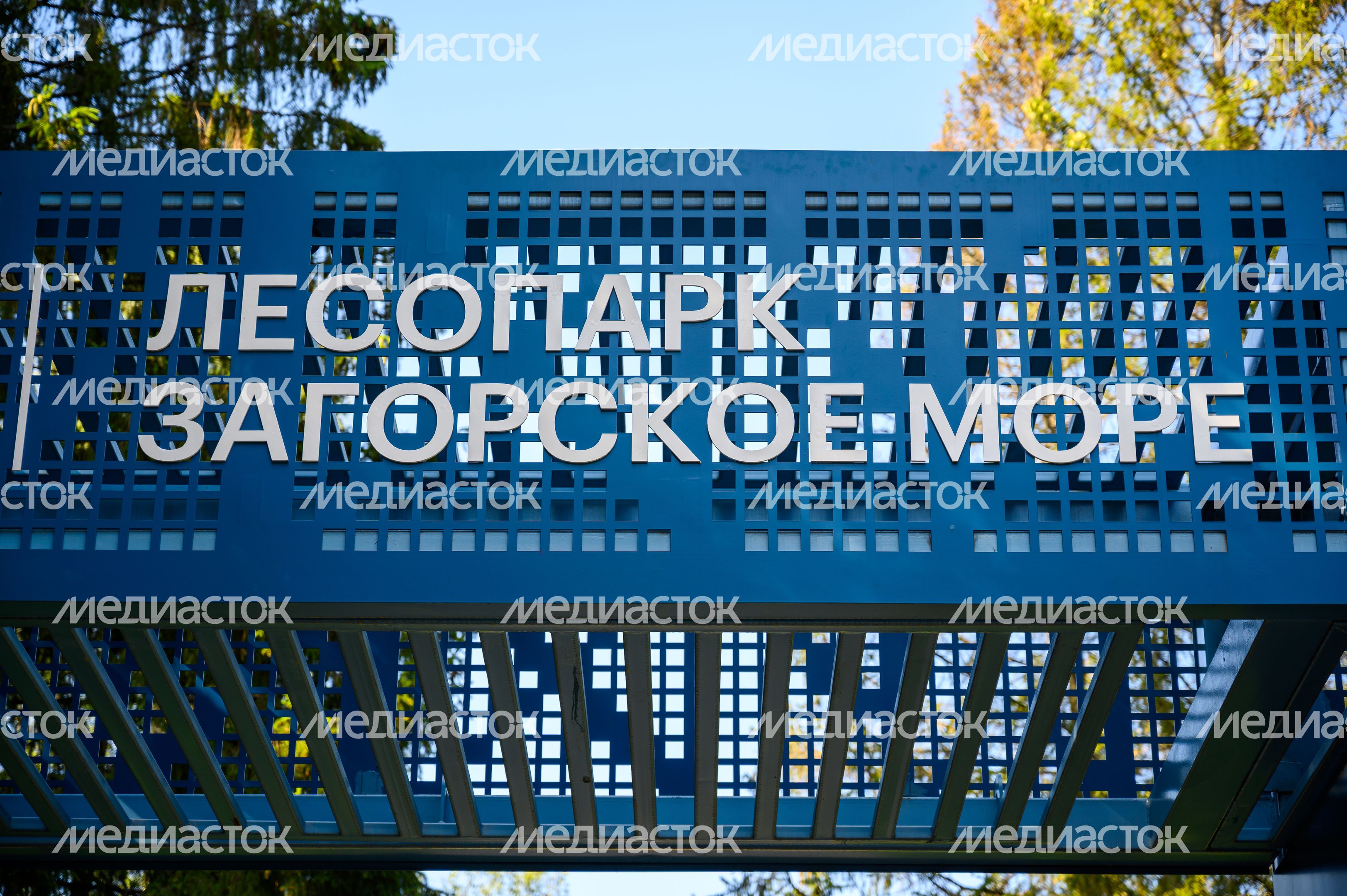 Лесопарк «Загорское море» летом в Сергиевом Посаде Лесопарк «Загорское море» летом в Сергиевом Посаде