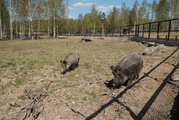 Национальный парк Лосиный остров