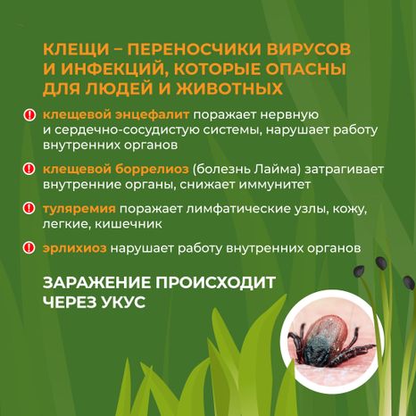комлесхоз_клещи_кв_3