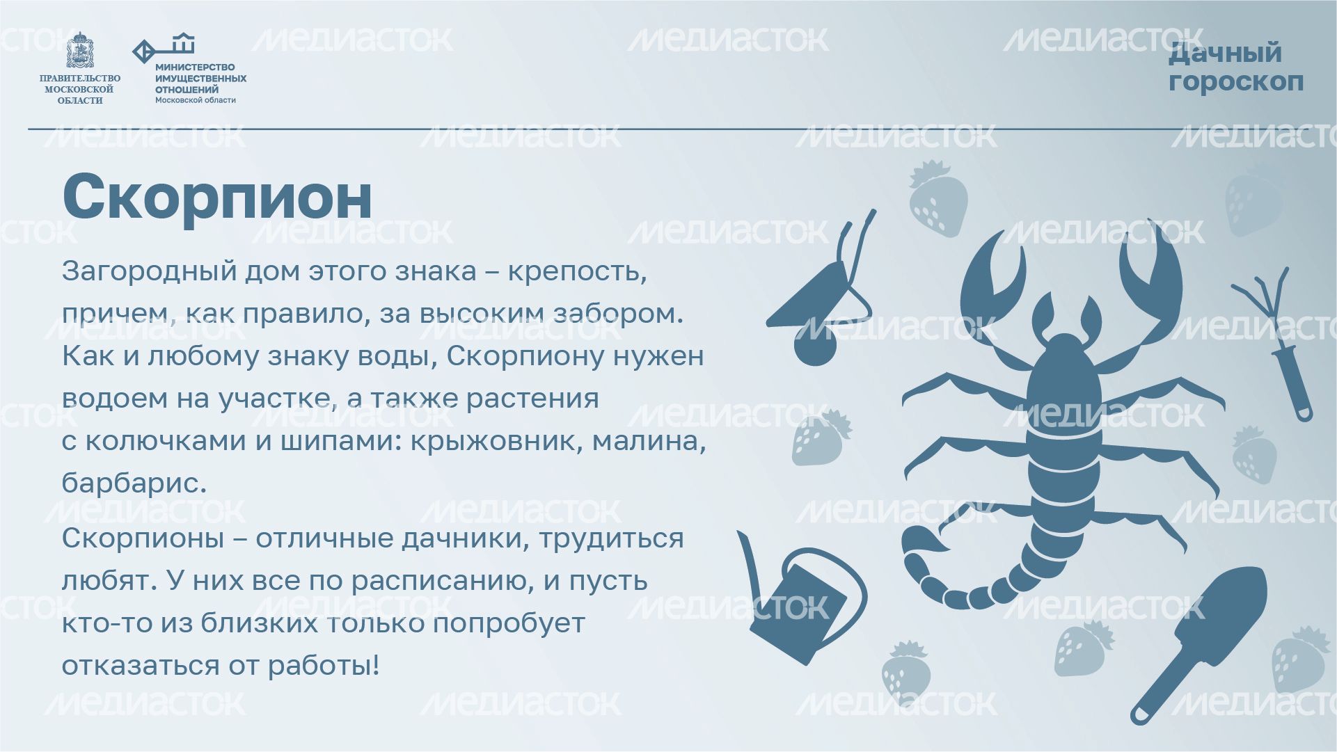 Горизонталь_Дачный_гороскоп_08-100.jpg