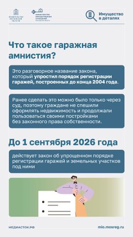 Гаражная амнистия вертикаль 02