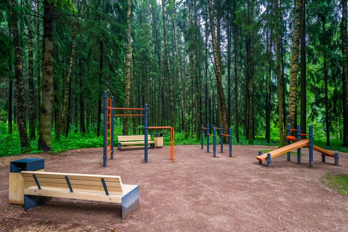 Спортивная площадка в лесопарке «Талицкий лес» летом в Клину