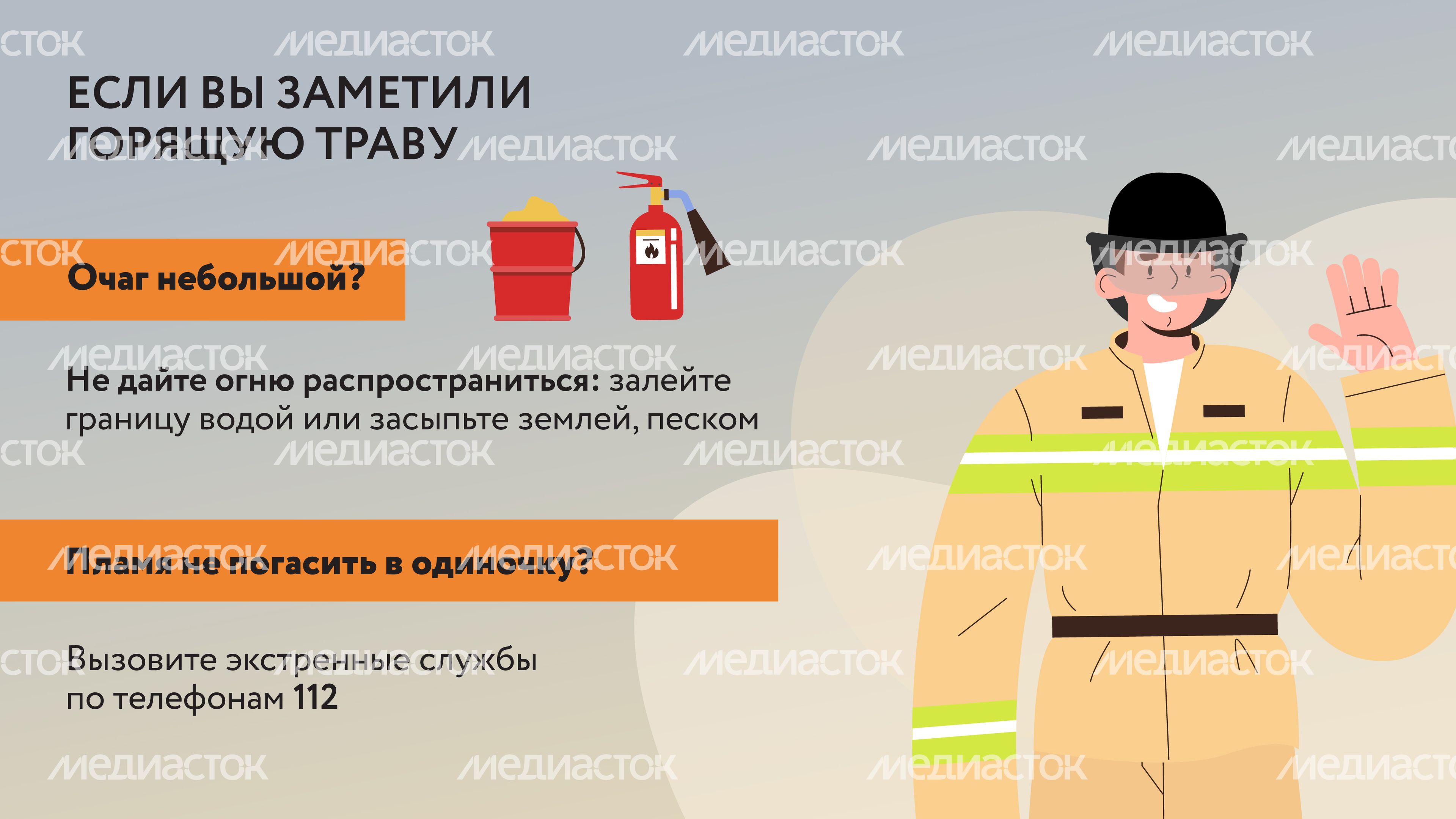 Пал травы-10.jpg