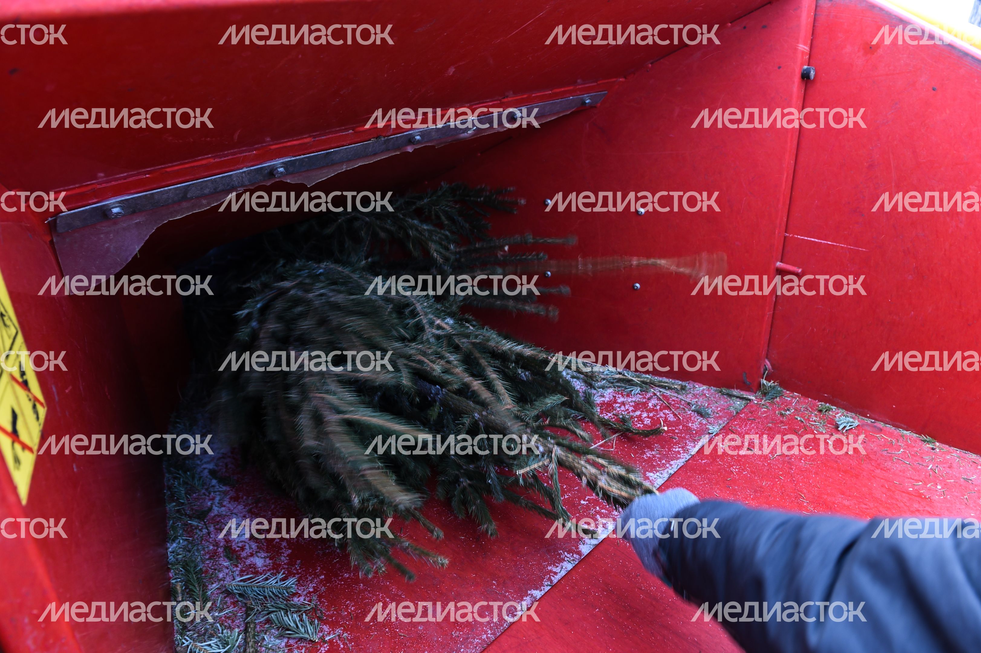 Утилизация елок после Нового года в Москве