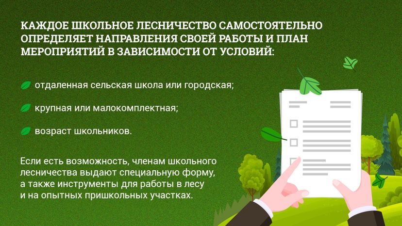 Школьные лесничества