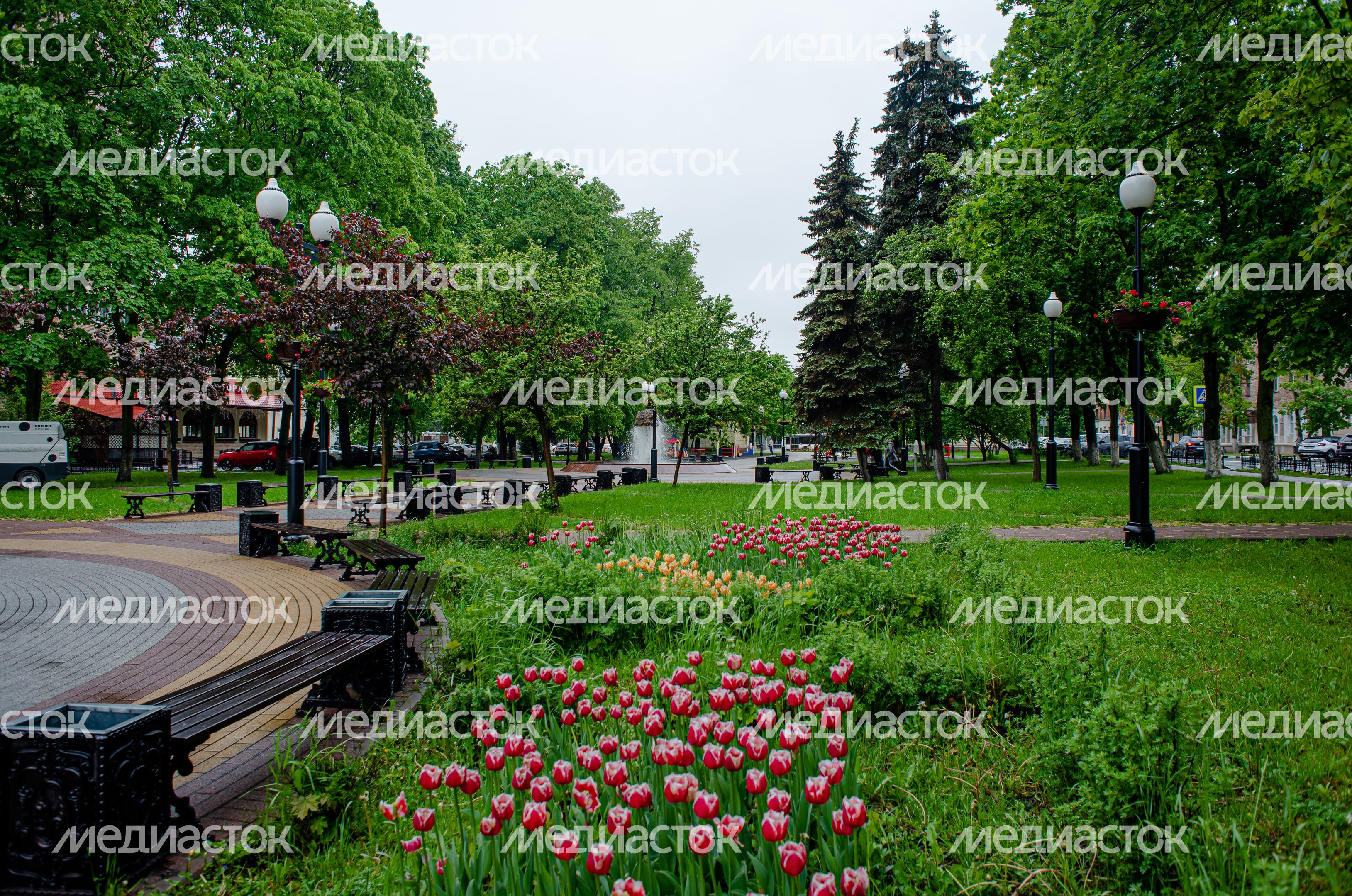 Летние виды города Балашиха