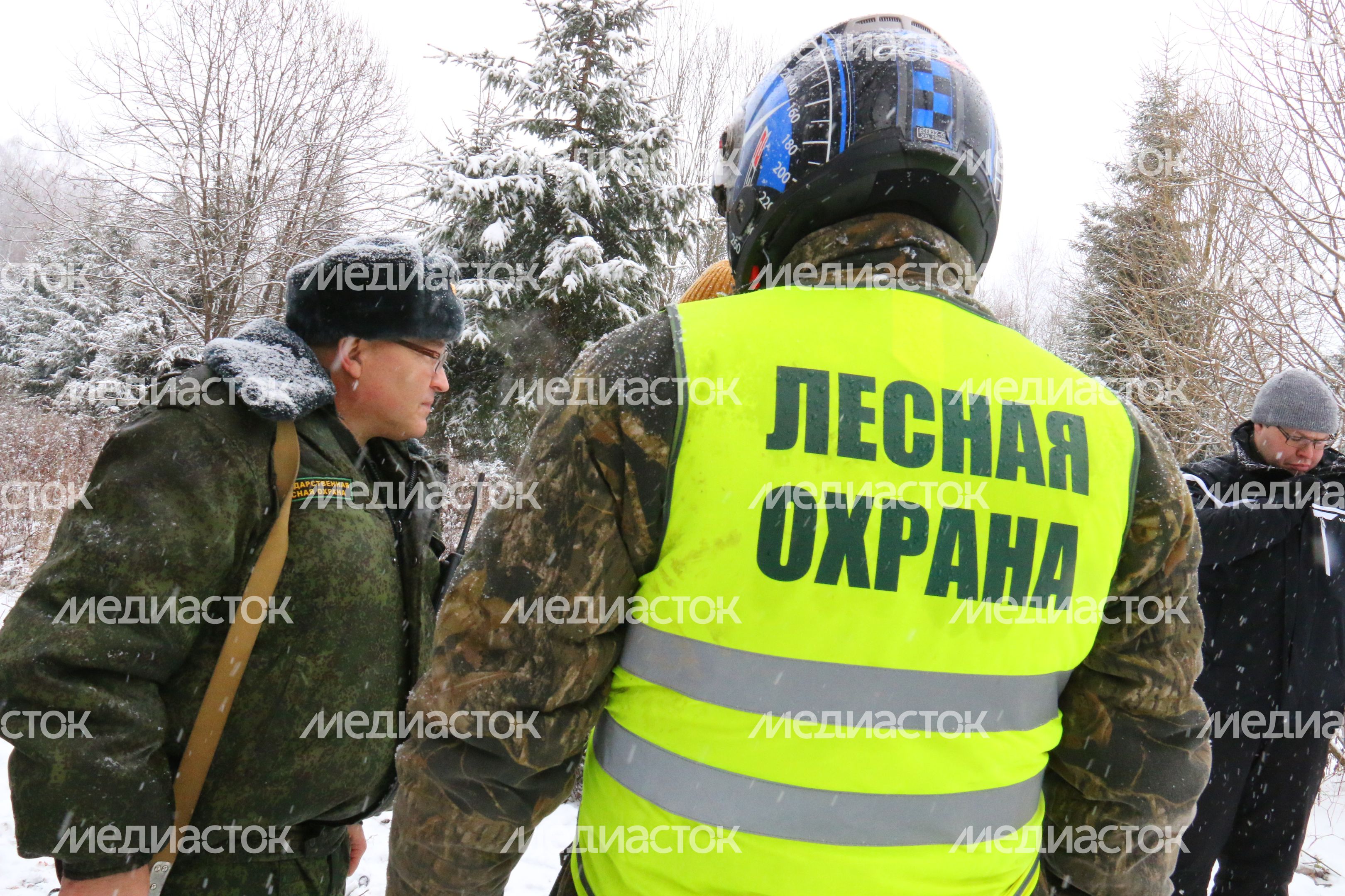 Рейд лесной охраны в Подольском лесничестве Рейд лесной охраны в Подольском лесничестве