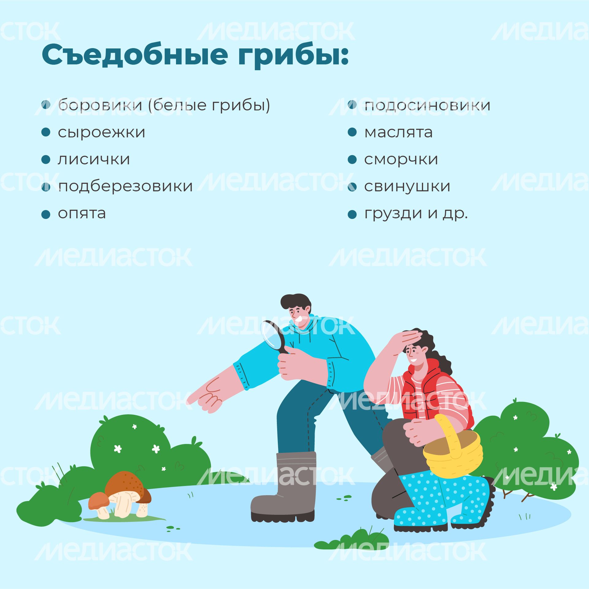 18 Квадрат_грибы_03-100