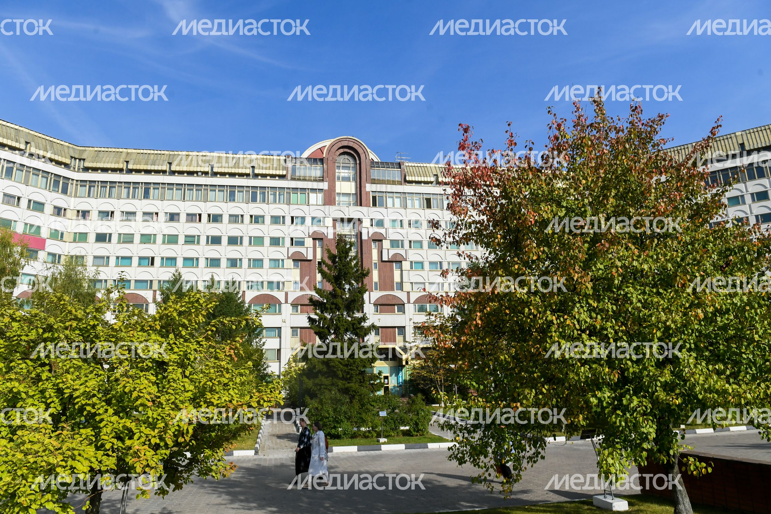 Посадка губернатором Подмосковья дерева в Центре им. Бакулева