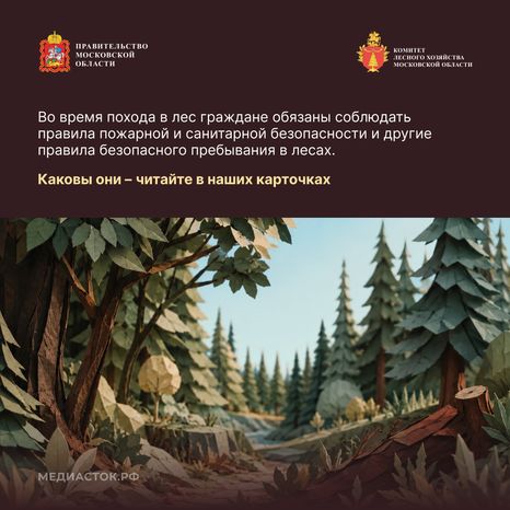 Пребывание граждан в лесах квадрат 02