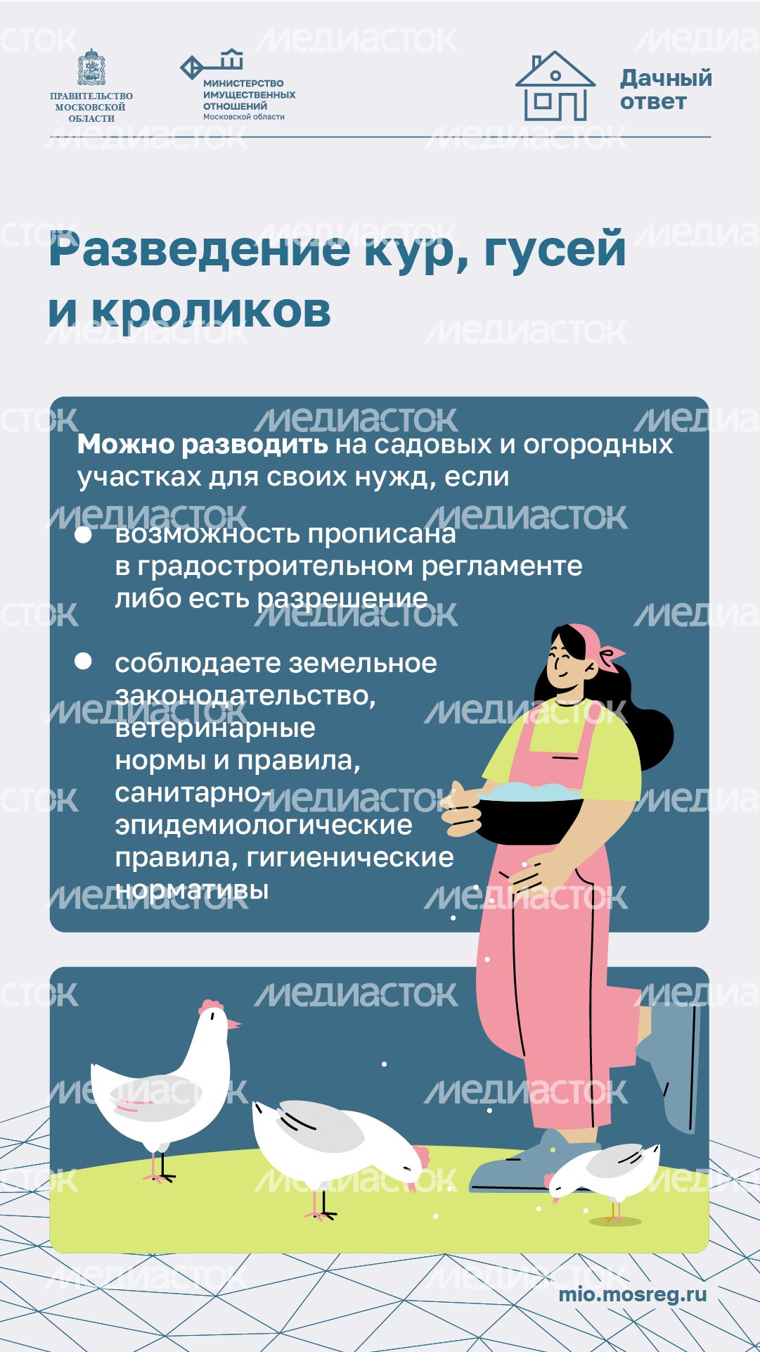 Дачный сезон штрафы-вертикаль-09