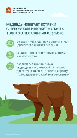Медведь – сосед, которого нужно знать_вертикаль 05