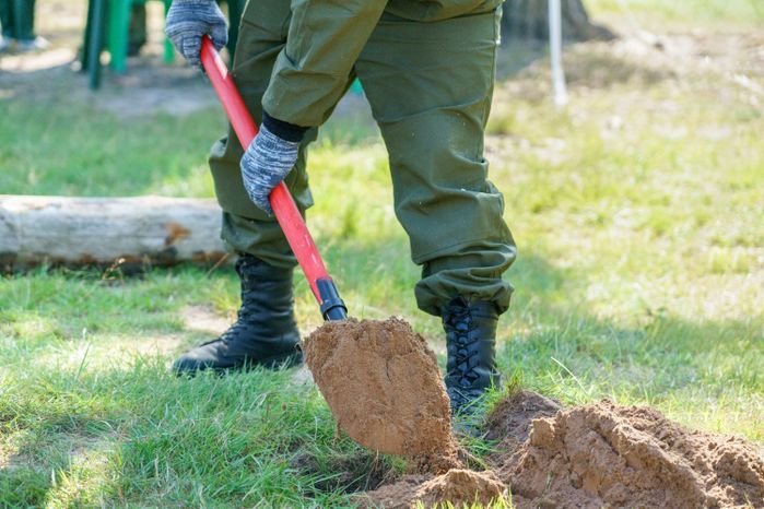 Областной смотр-конкурс на звание "Лесник года" 2024 в округе Воскресенск