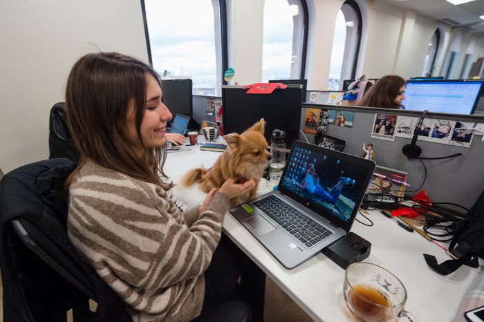 Pet‑friendly офис Purina