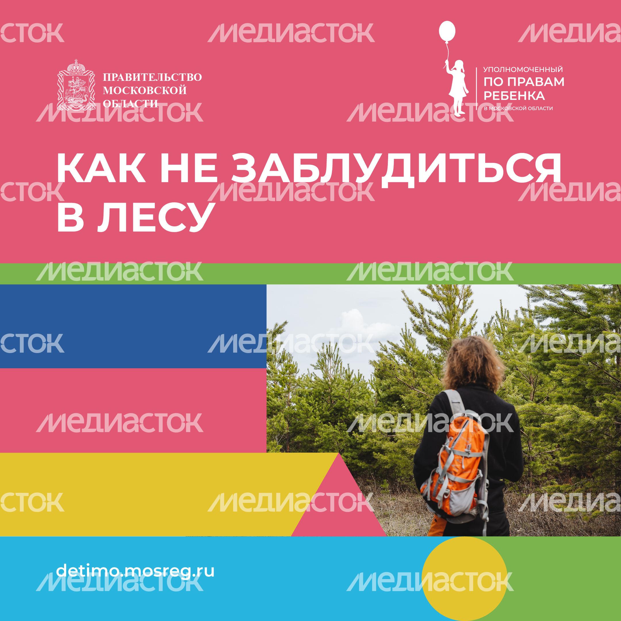 квадрат как не заблудиться в лесу.jpg