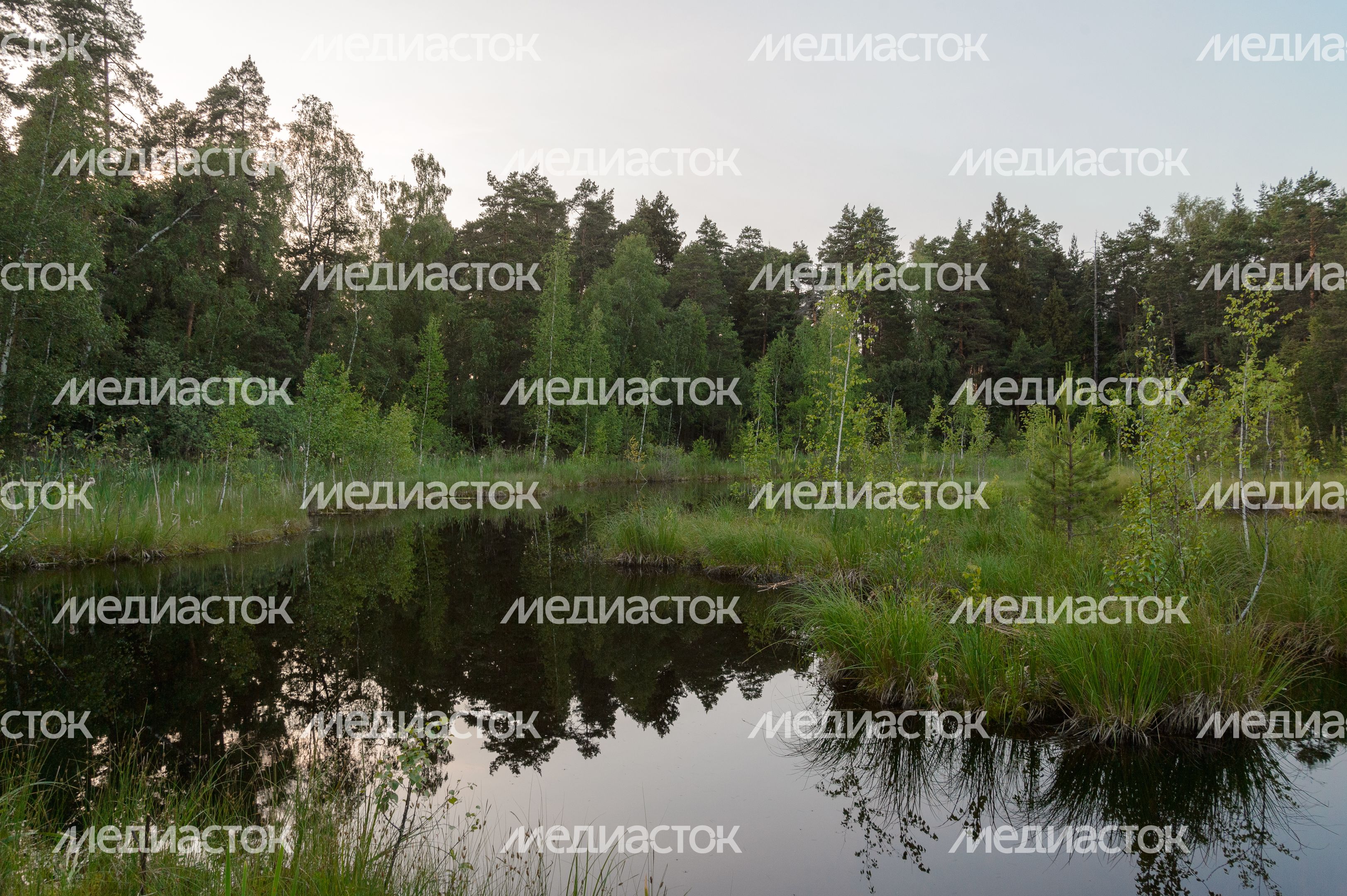 Озеро Безменковский Карьер