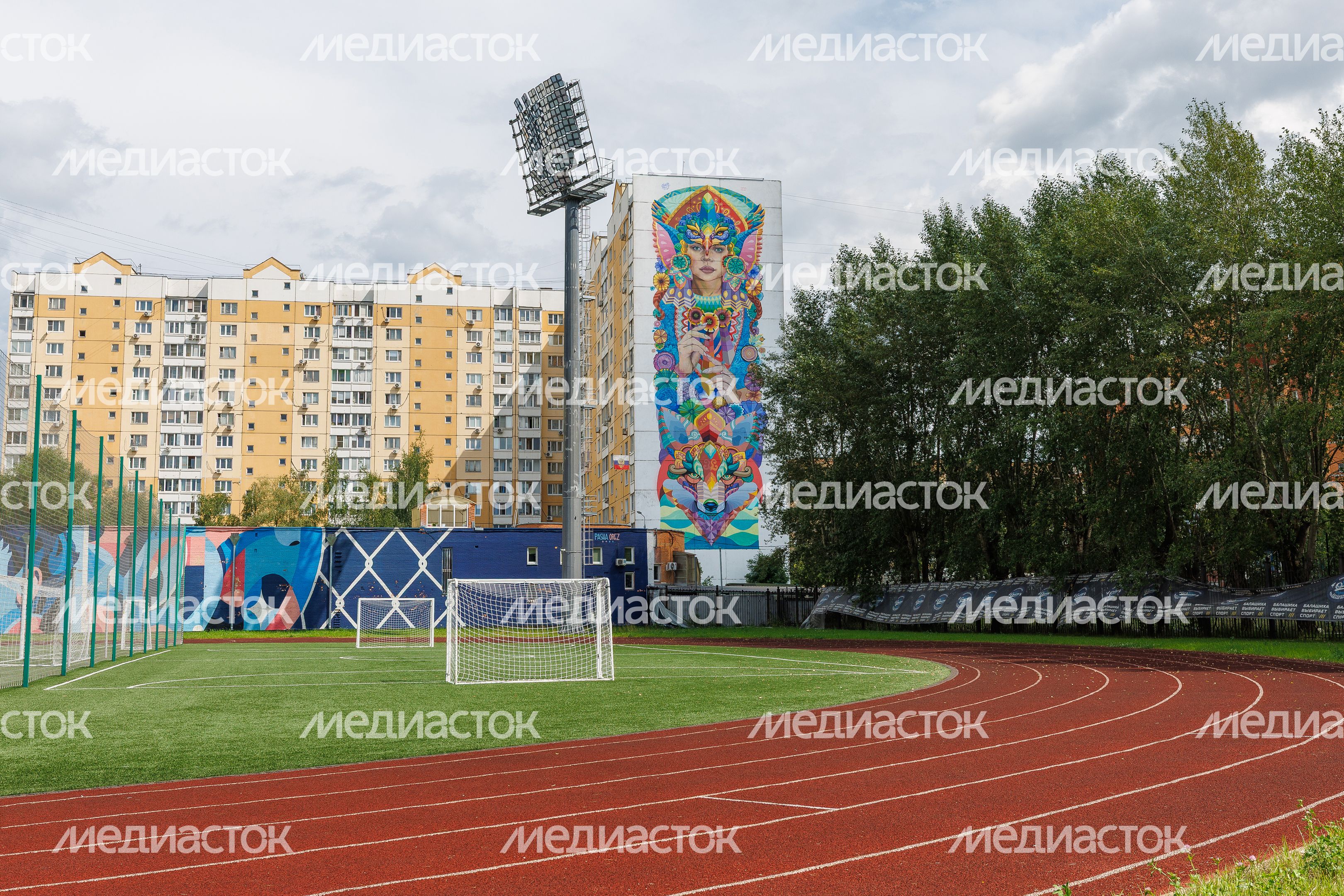 Муралы в Железнодорожном, Балашиха