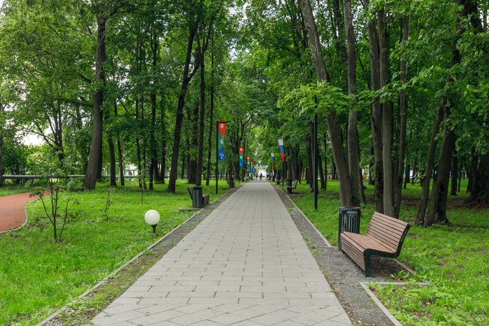 Лавочка в Лосино-Петровском парке