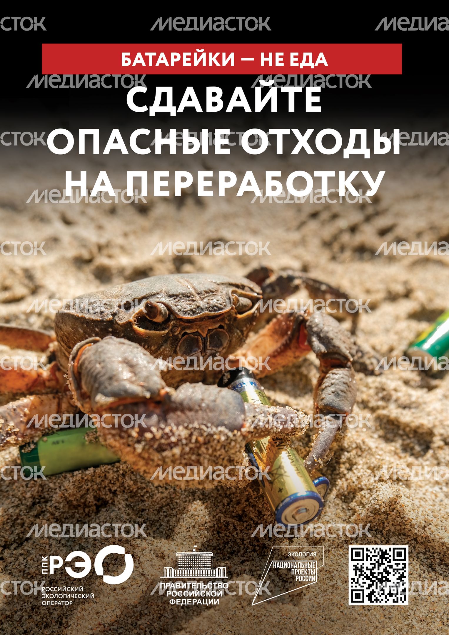 Seria 9 animal poster _A2_6