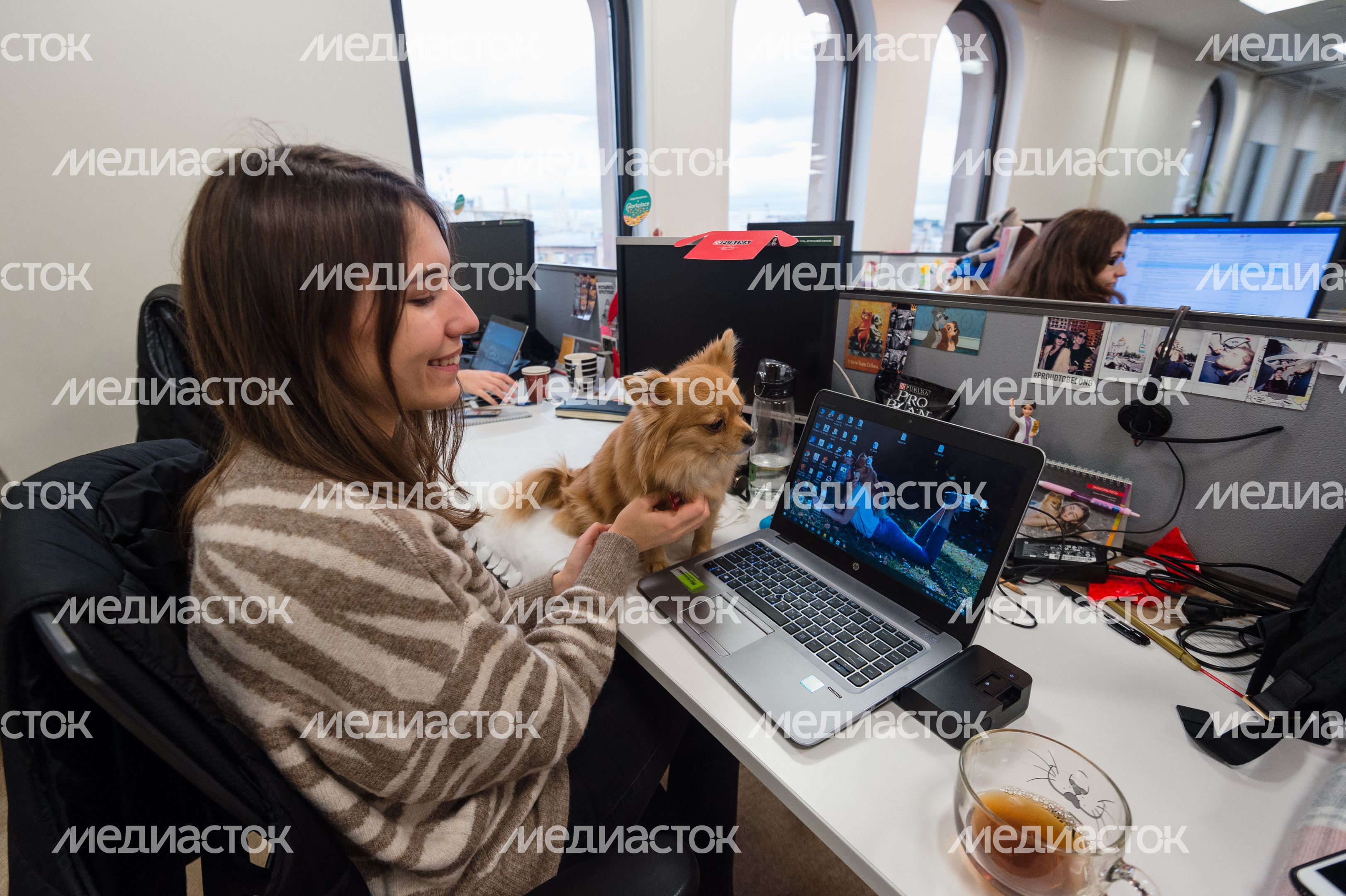 Pet‑friendly офис Purina