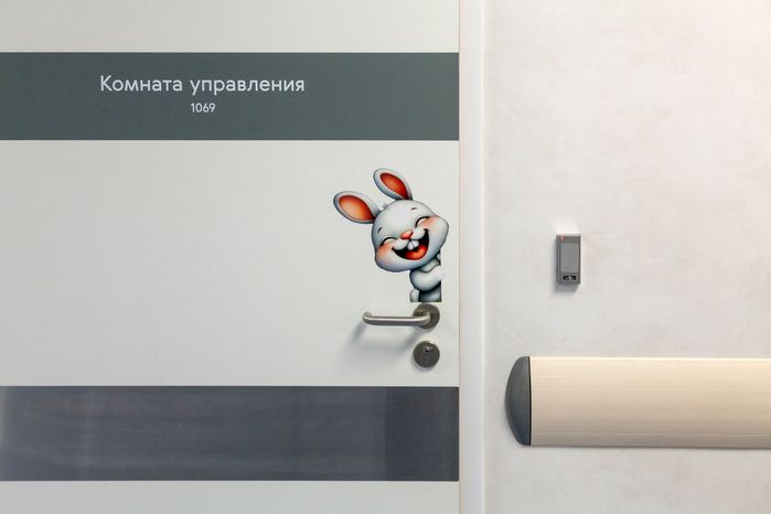 Детский клинический центр им. Л.М. Рошаля в Красногорске
