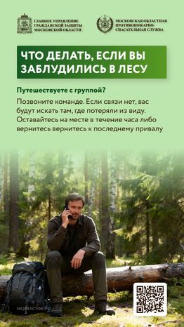Как подготовиться к походу в лес вертикаль 04