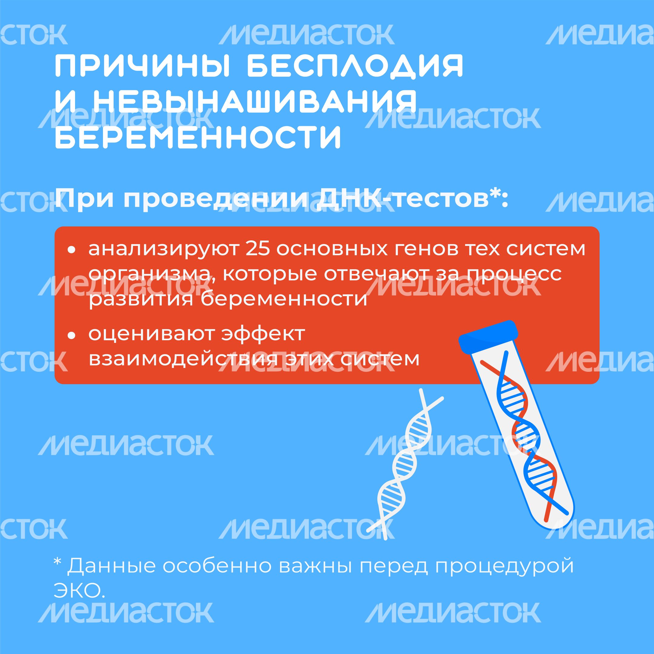 ДНК-квадрат-07