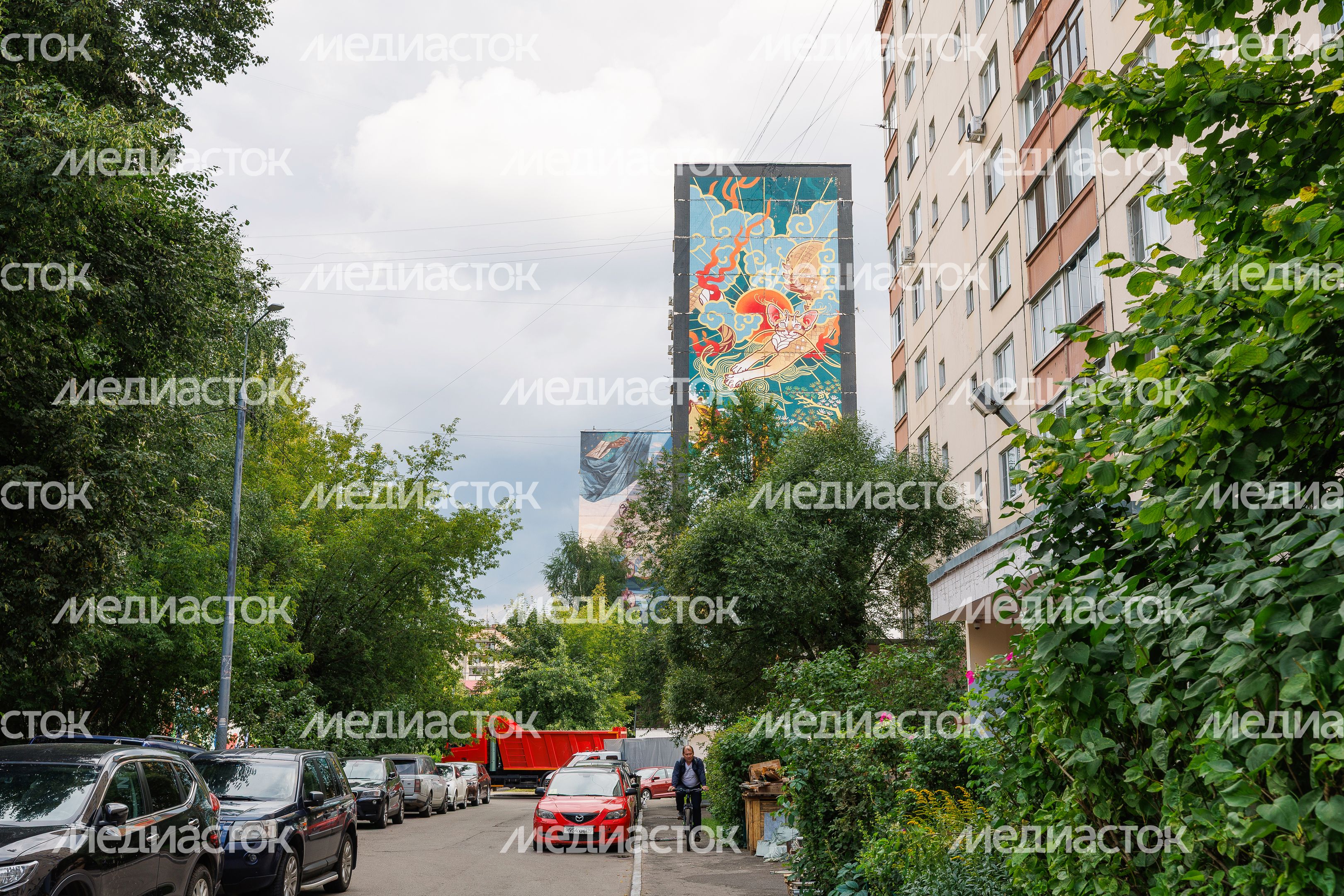 Муралы в Железнодорожном, Балашиха