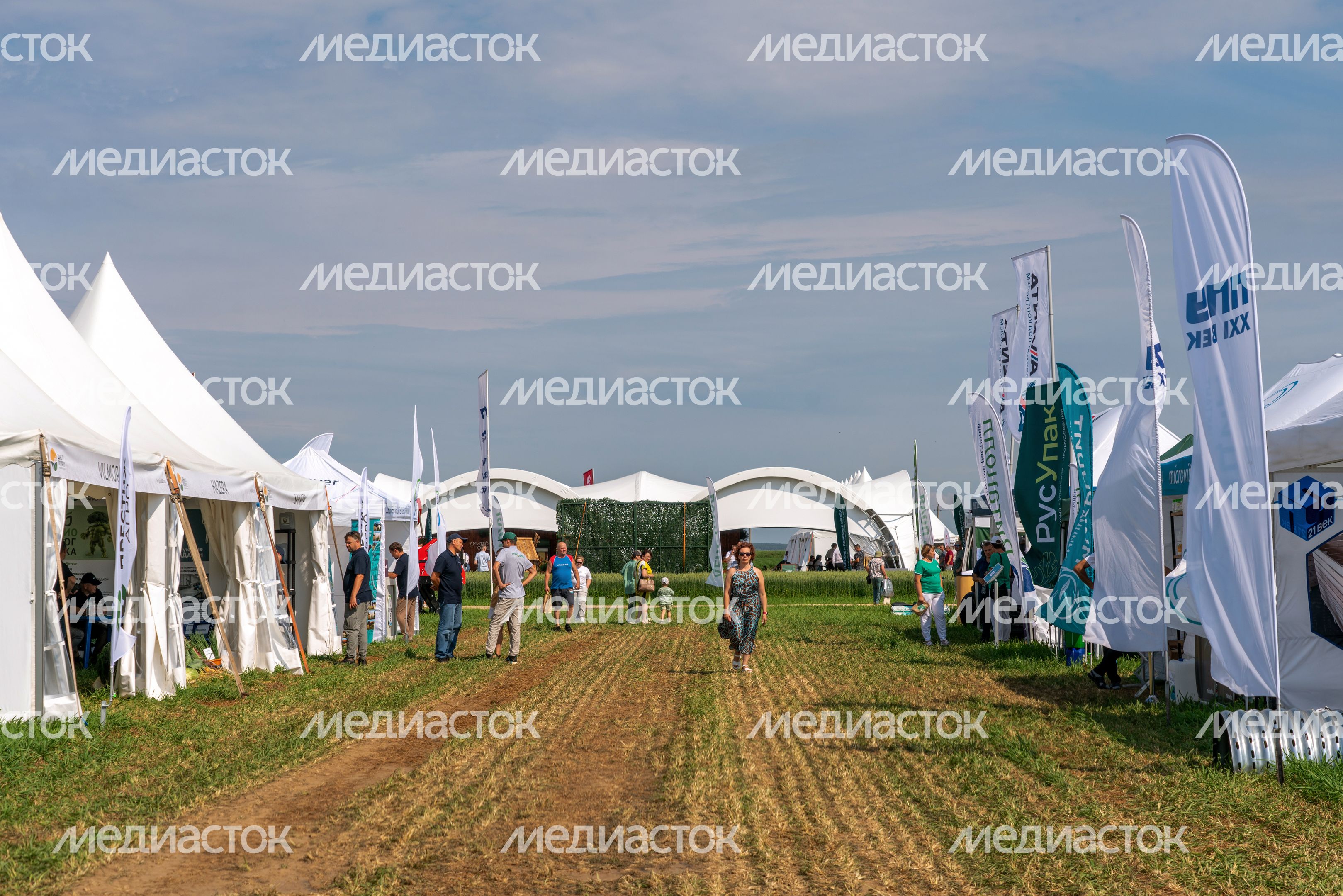 День поля Московской области 2026 в Дмитровском округе
