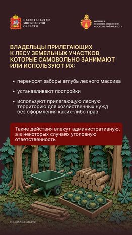 Самовольный захват и использование лесных участков вертикаль 03
