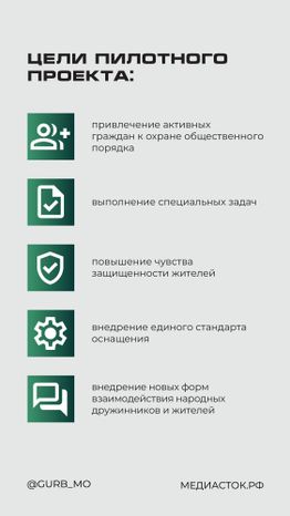 Народные дружины вертикаль 03