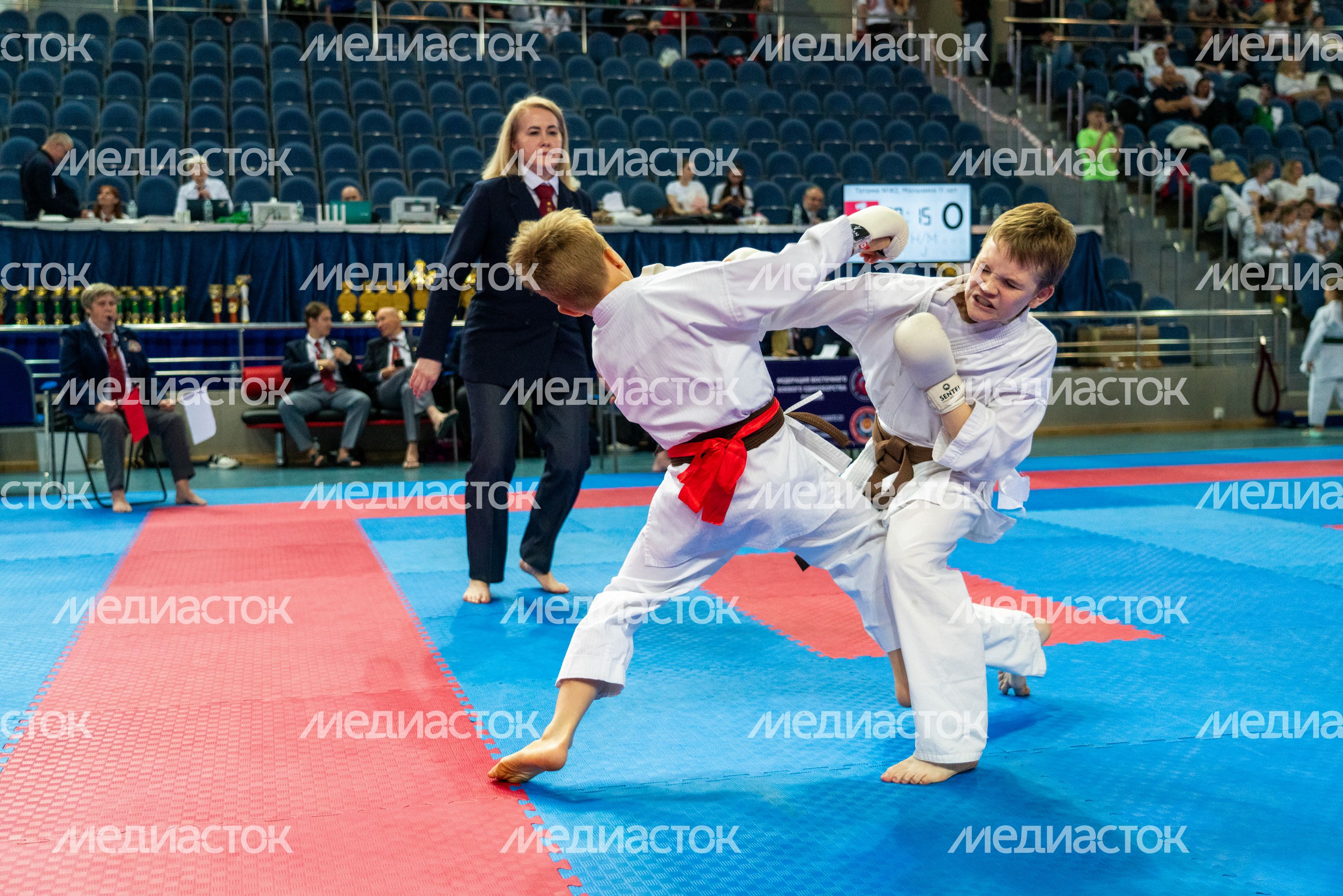 Чемпионат и Первенство России по восточному боевому единоборству сетокан в городе Видное Ленинского округа Чемпионат и Первенство России по восточному боевому единоборству сетокан в городе Видное Ленинского округа