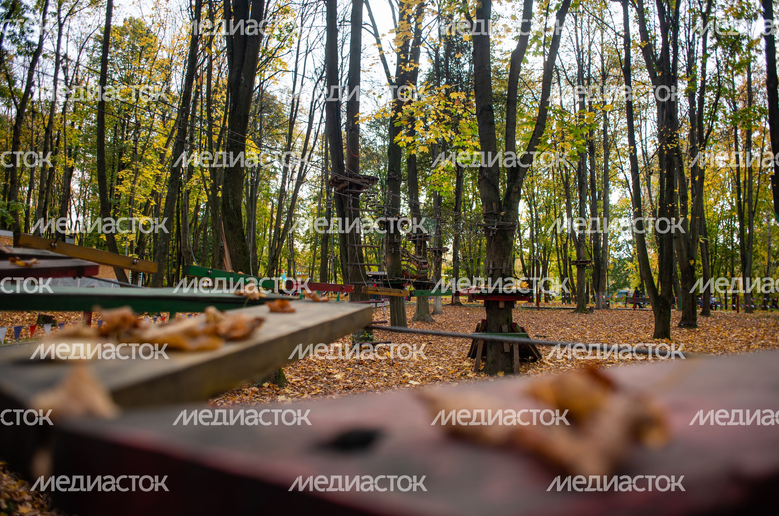 Осенние виды Городского парка в Щёлково