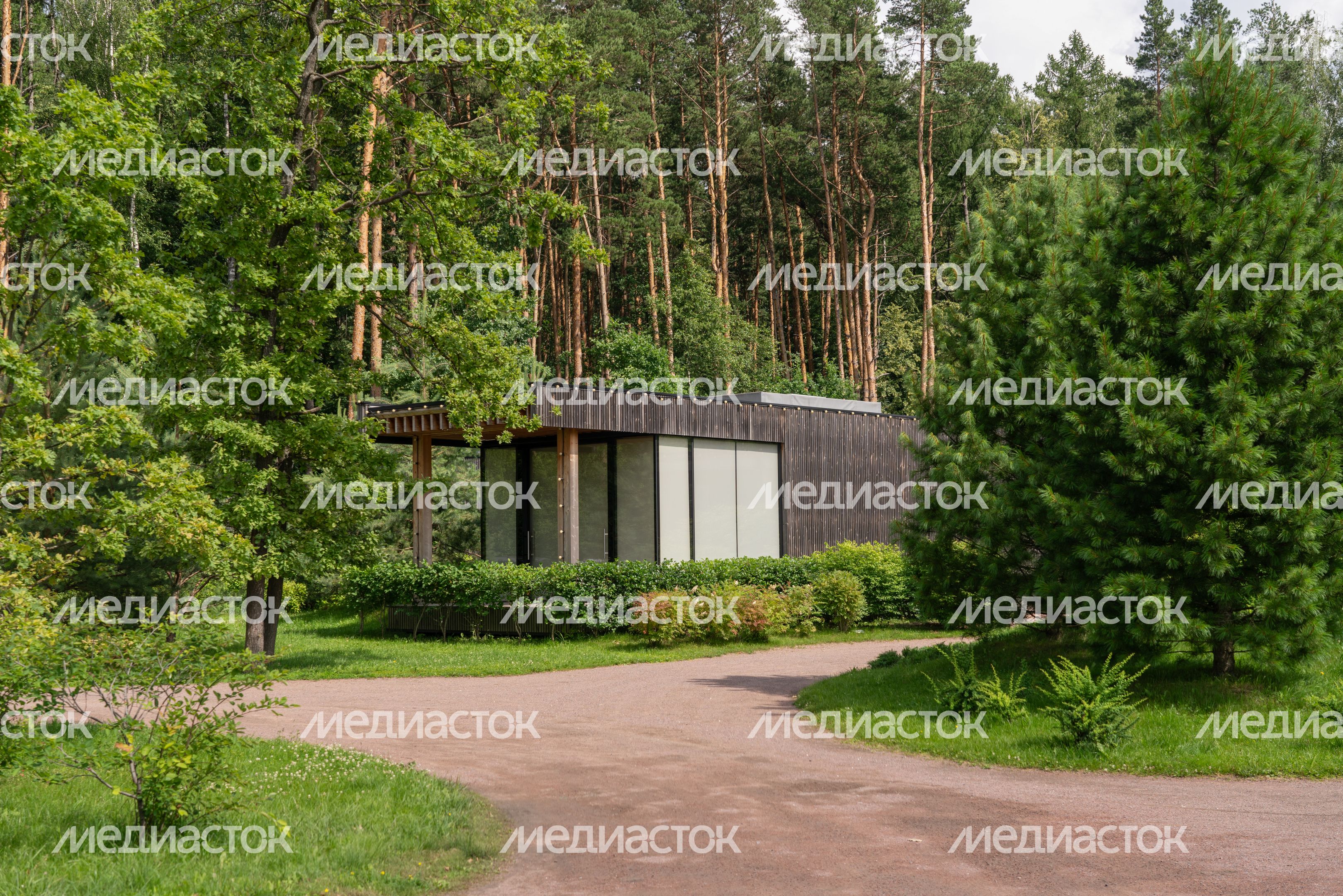 Мещерский парк летом