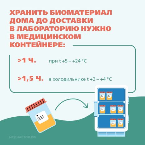 Подготовка к исследованию мочи Квадрат 07
