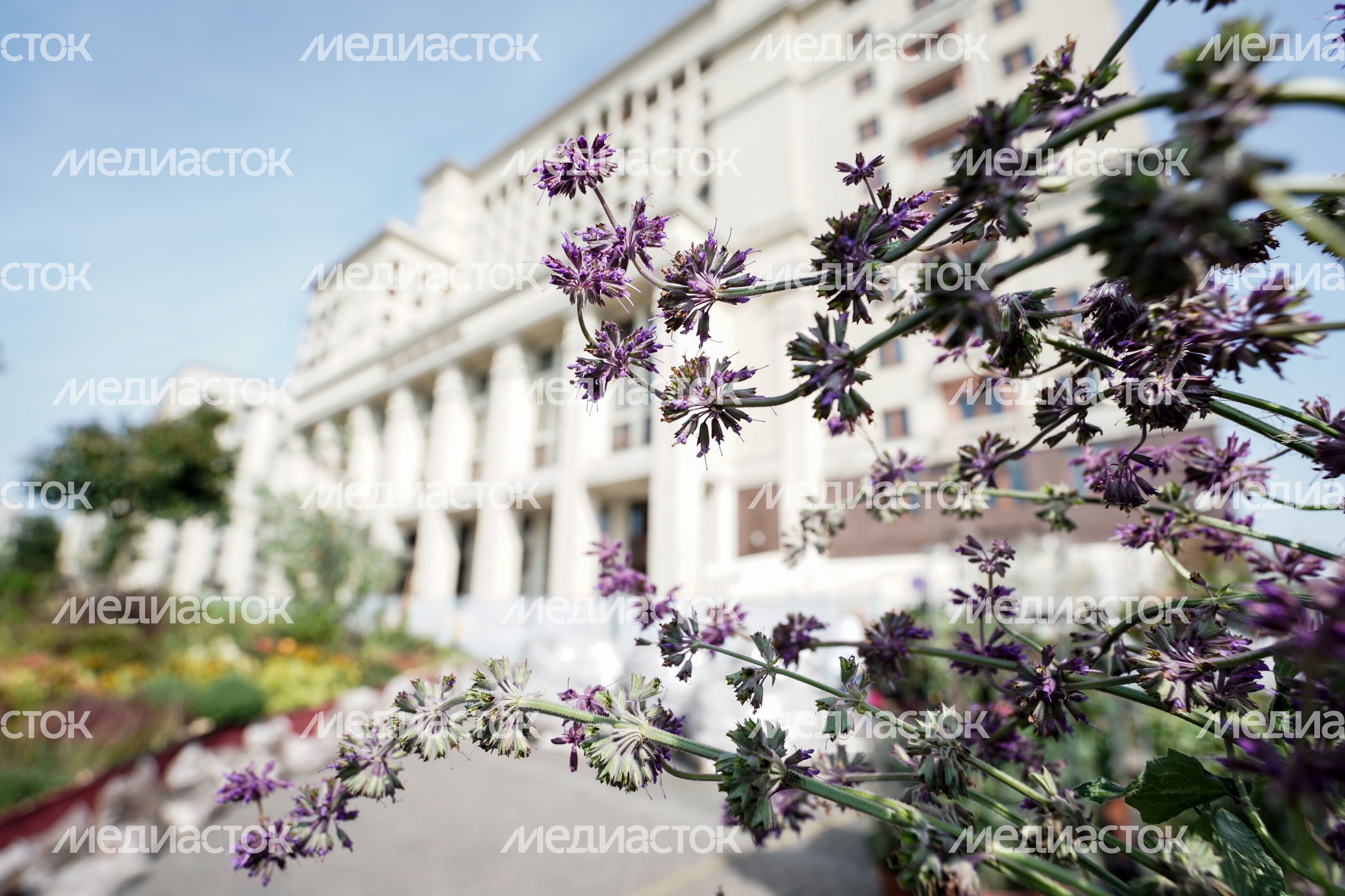 Подготовка к открытию площадки фестиваля «Цветочный джем» в Москве Подготовка к открытию площадки фестиваля «Цветочный джем» в Москве