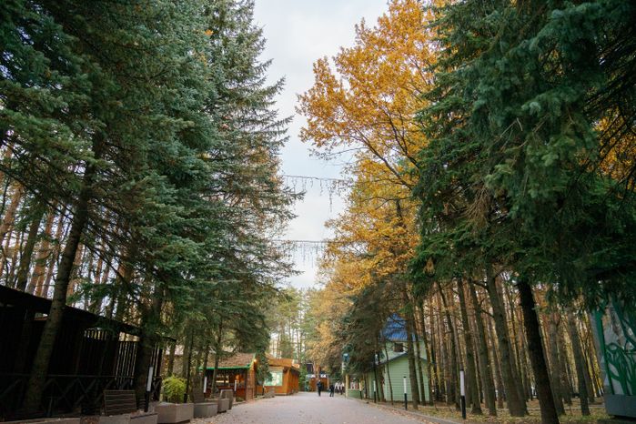 Домодедовский осенний парк культуры и отдыха «Елочки»